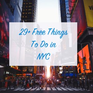 29-free-things-to-do- in- nyc
