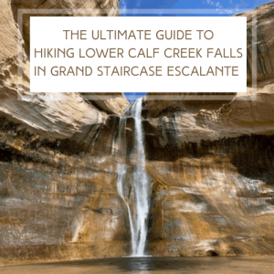 The Ultimate Guide To Hiking Lower Calf Creek Falls in Grand Staircase Escalante