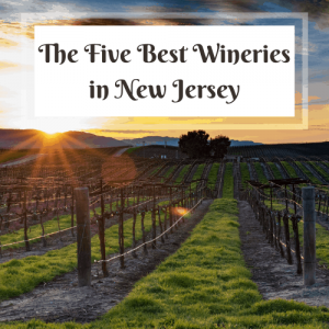 The5BestWIneriesInNJ