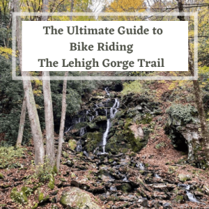 Ultimate Guide to The Lehigh Gorge Trail